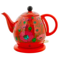 Pylones Théières Bouilloire électrique 1L