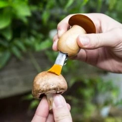 Kikkerland Découpe Couteau à Champignons -saladiers et coupelles Soldes couteau a champignons 2
