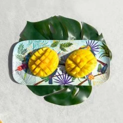 Les Jardins De La Comtesse Plats, Saladiers Et Coupelles Plat à Cake Rectangulaire En Mélamine 37,5 Cm Imprimé De Toucans -saladiers et coupelles Soldes plat a cake rectangulaire en melamine 37 5 cm imprime de toucans 2