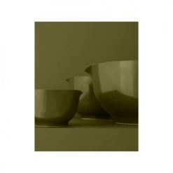 Rosti Plats, Saladiers Et Coupelles Saladier En Plastique Vert Olive -saladiers et coupelles Soldes saladier en plastique vert olive 1