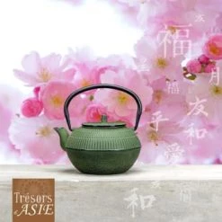 Novastyl Théières Théière En Fonte Verte 1,2L -saladiers et coupelles Soldes theiere en fonte verte 1 2l 3